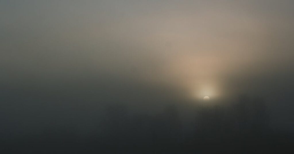 やわらかな朝の光が広がる地平線。時間が味方になる希望を象徴する風景。