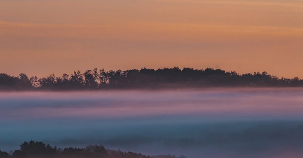 やわらかな朝の光が差し込む風景。強くなくても前に進んでいる希望を象徴するイメージ。