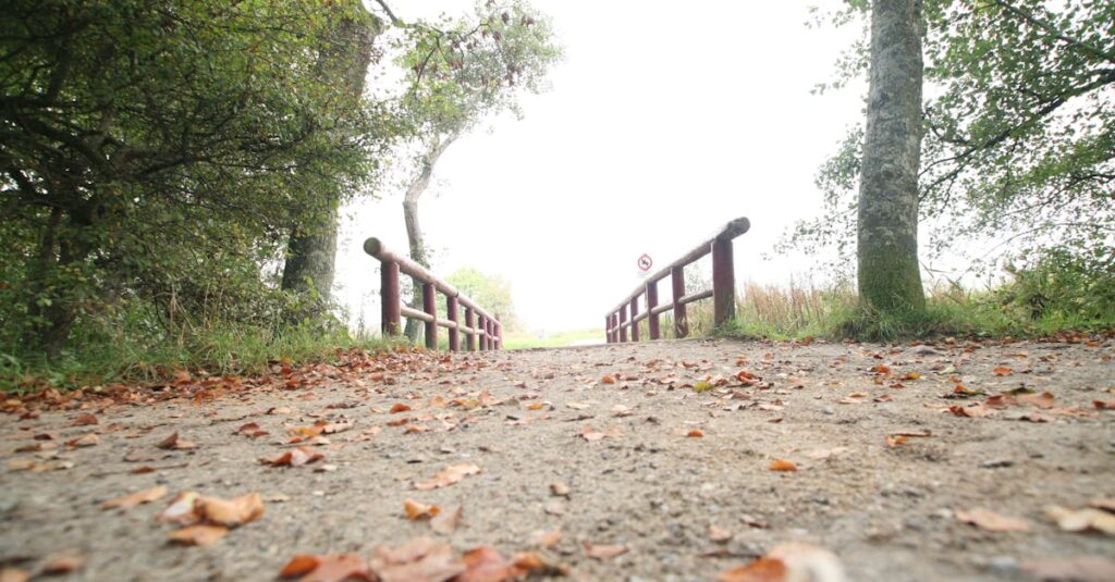 calm path soft light gentle boundary safe connection