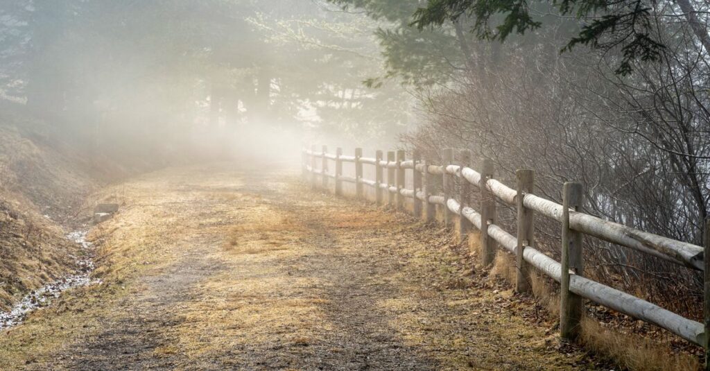 calm path soft light gentle boundary safe connection