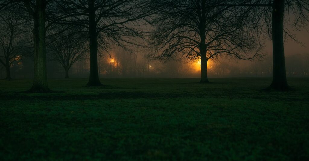two gentle lights apart in quiet dusk atmosphere
