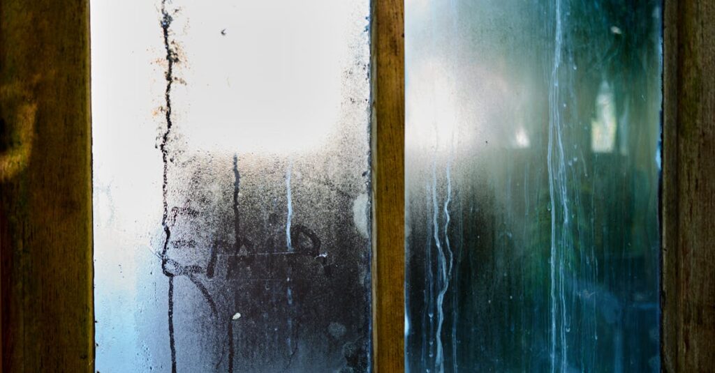 窓から差し込むやわらかな光。言葉で感情がほどける瞬間を象徴する風景。