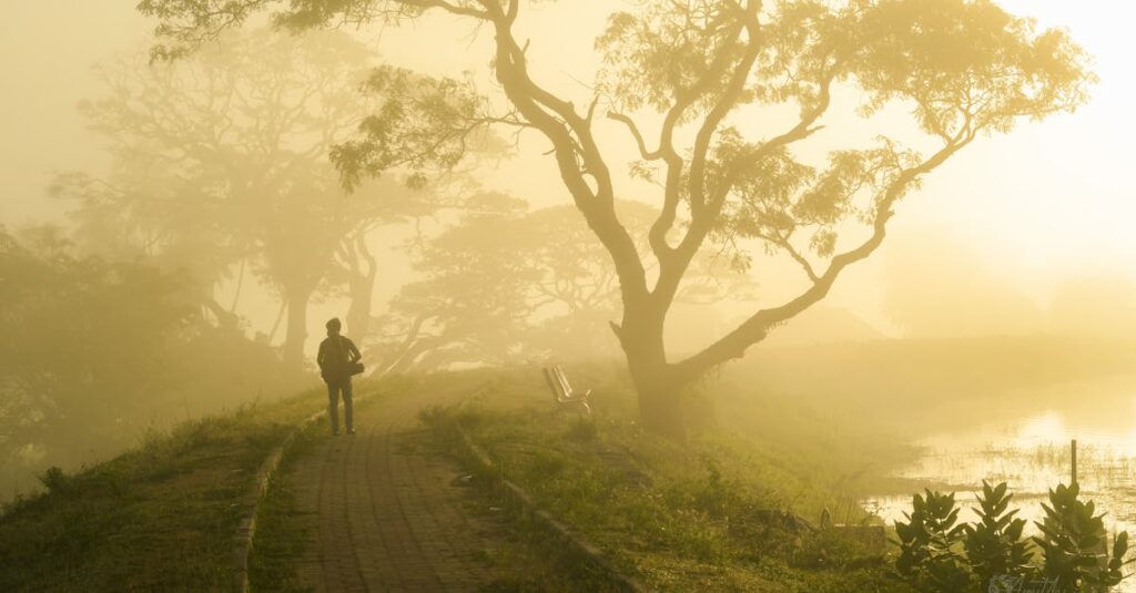 やわらかな朝の光の中に続く静かな道。ひとりは欠けている状態ではなく、満ちていく途中の時間。