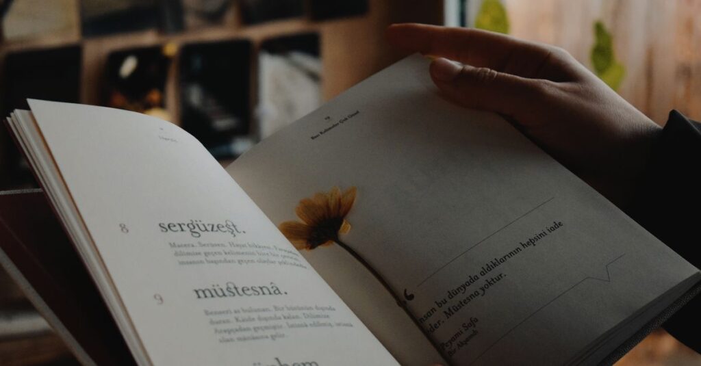 one gentle book soft light quiet calm hopeful