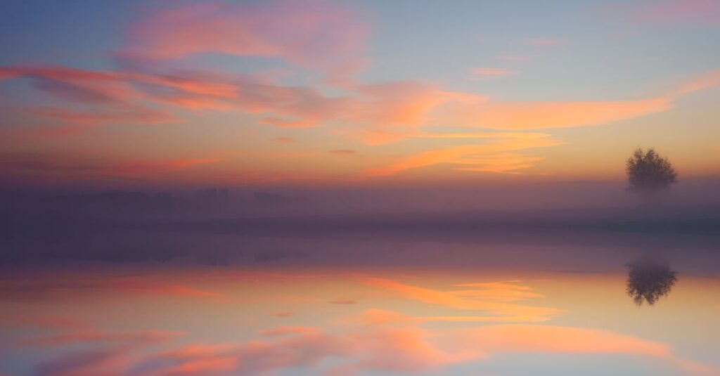 やわらかな朝の光。境界線の先にある穏やかさを象徴する風景。