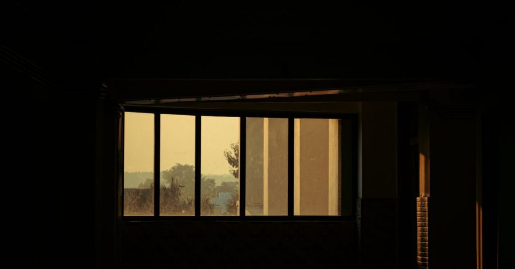soft window light quiet room safe distance calm