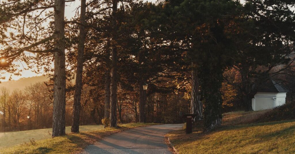 calm path home soft evening light peaceful return