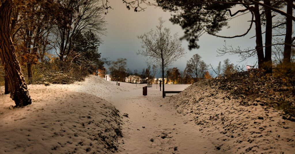 calm evening path soft lights peaceful connection gentle atmosphere