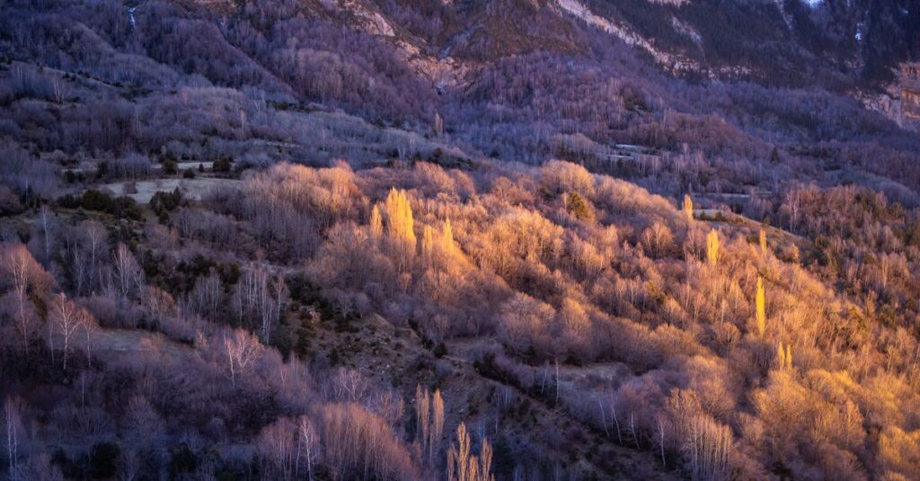 quiet snow mountains high tower mysterious witch magic library soft evening light