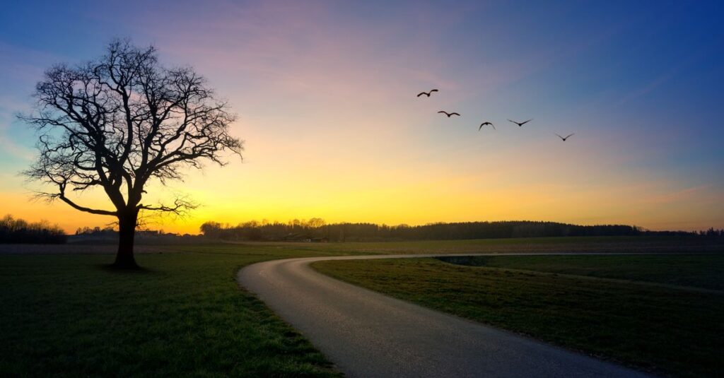 calm path with soft light balanced distance peaceful