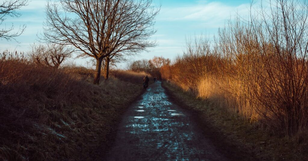 quiet narrow path soft evening light emotional distance