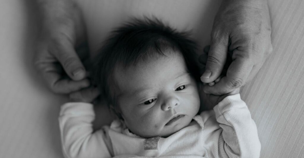 やわらかな光の中に続く静かな道。自分を守りながら無理なく人と関わっていくための境界線を象徴する風景。