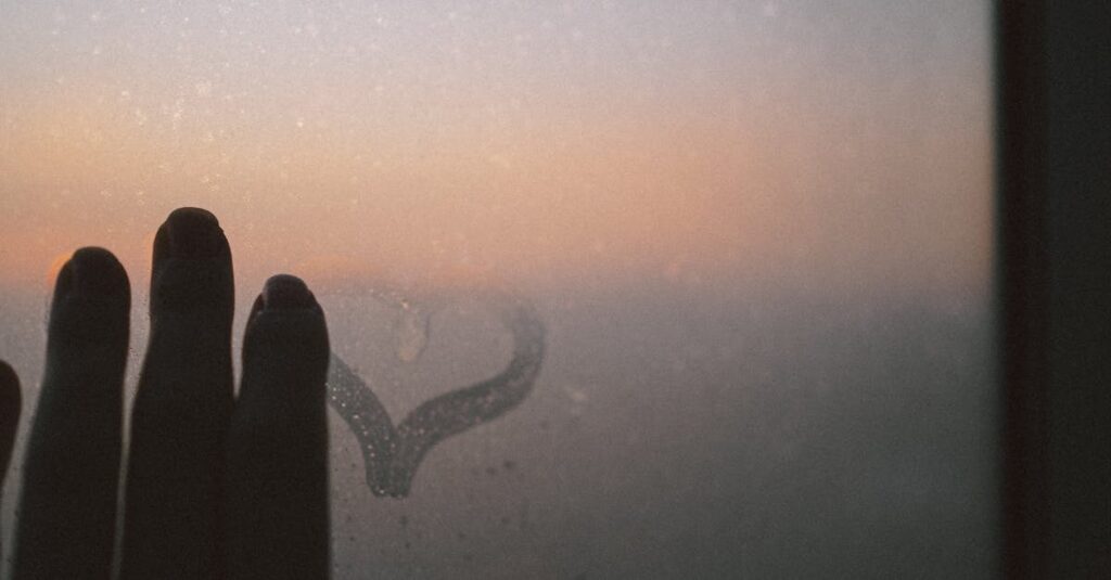 soft window reflection gentle light emotional caution