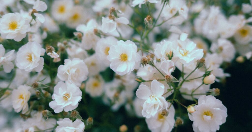 soft blooming flowers quiet garden gentle morning light anime style