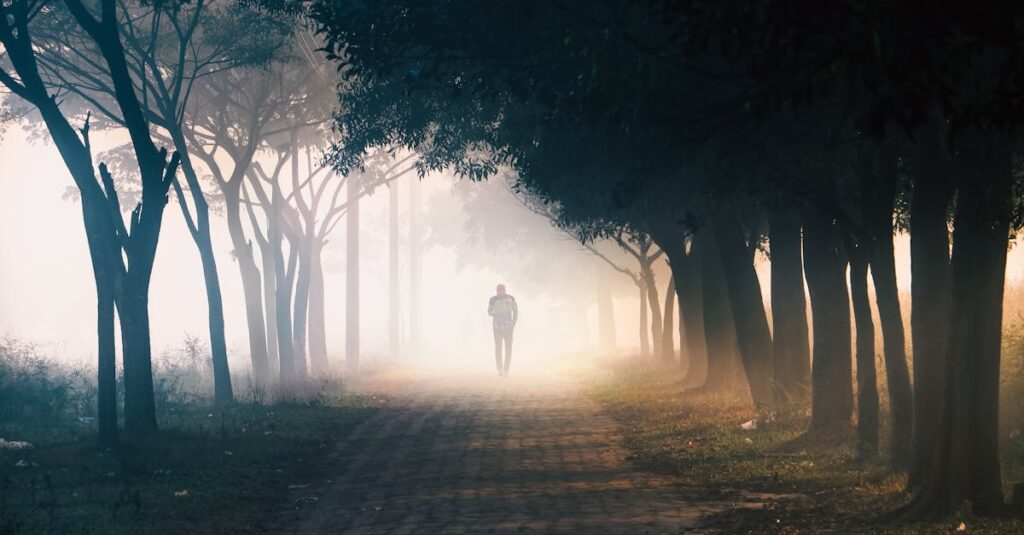 calm path soft morning light trust gentle atmosphere