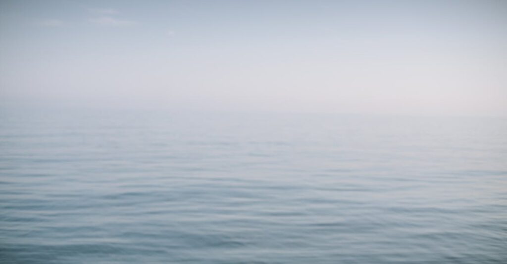 gentle horizon open space soft light peaceful distance