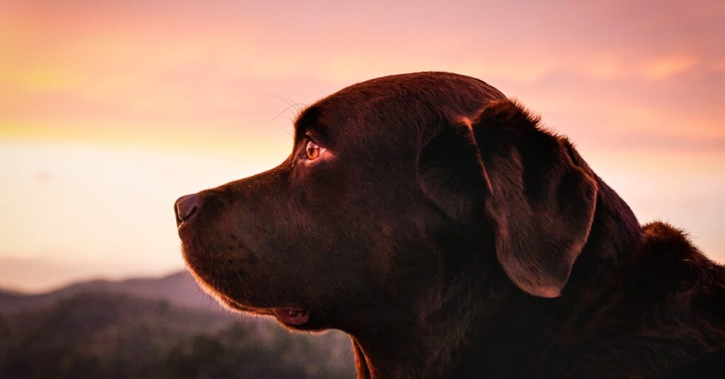 朝の光の中を並んで歩く二人。伴走型セッションを象徴する風景。