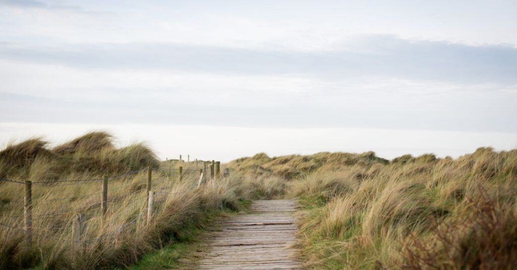 calm path soft light gentle boundary safe connection