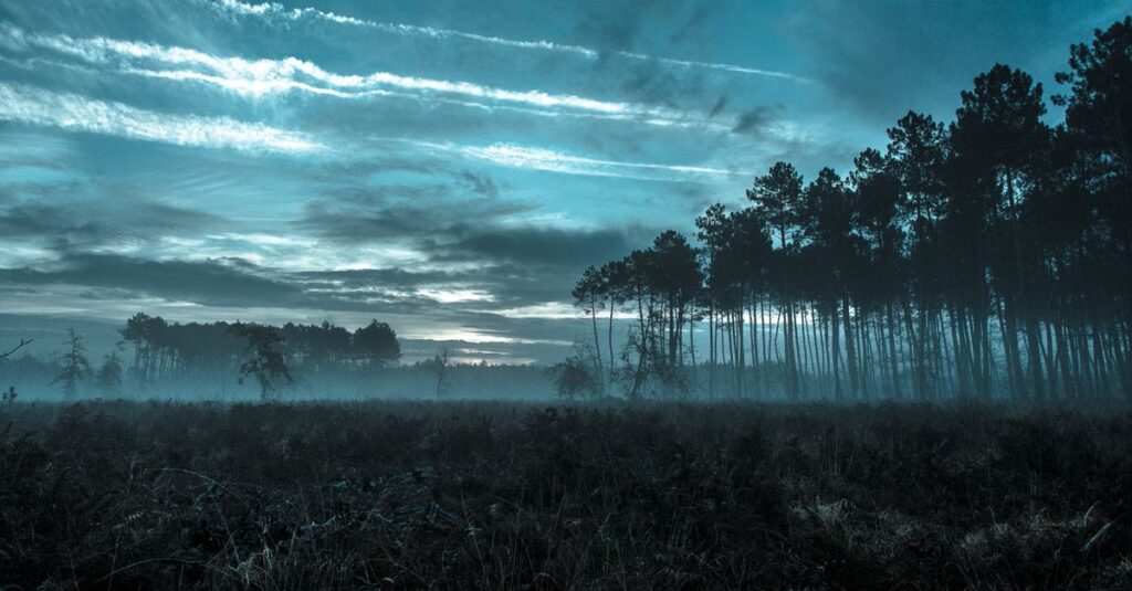 two gentle lights apart in quiet dusk atmosphere