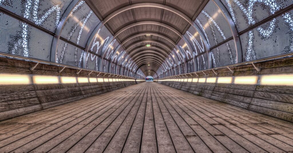 やわらかな光に照らされた穏やかな道。自分にとってのちょうどいい距離を少しずつ探していく心を象徴する風景。