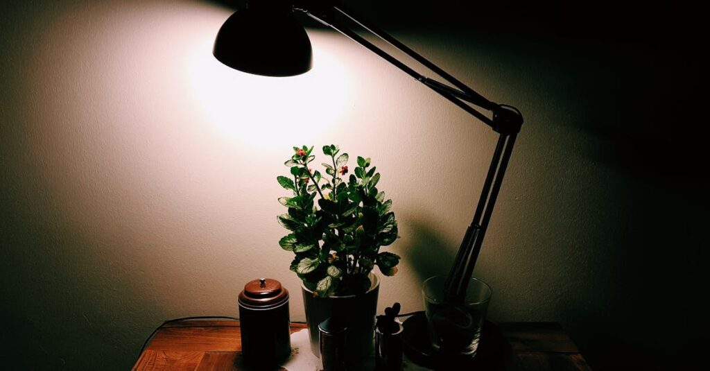 やわらかな夕方の光が差し込む静かな机。もう休みたいのに止まれない心の緊張を象徴する風景。