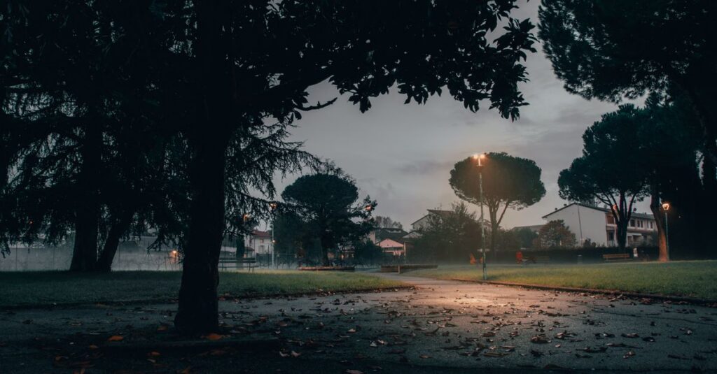 calm evening path soft lights peaceful connection gentle atmosphere
