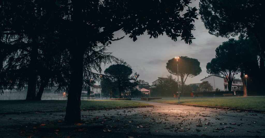 quiet path with soft space between lights calm atmosphere