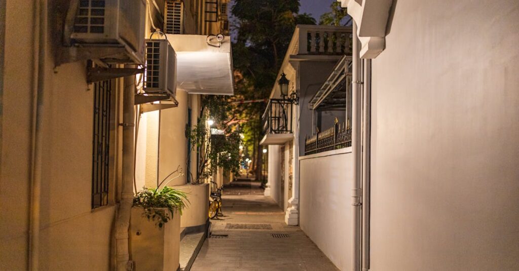 やわらかな夕方の光の中に伸びる静かな小道。人との距離が近づくほど揺れる心を象徴する風景。