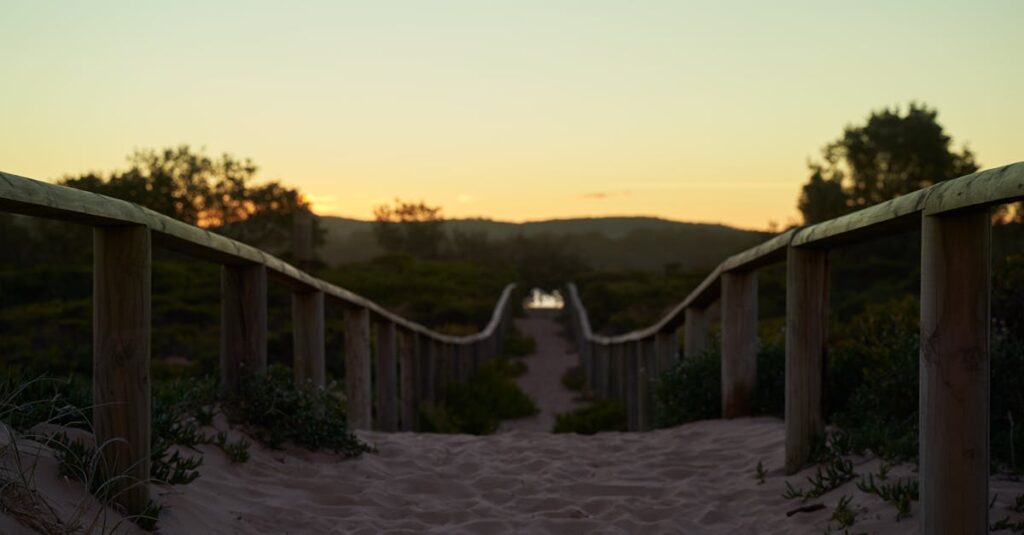 soft path home light peaceful gentle safe feeling