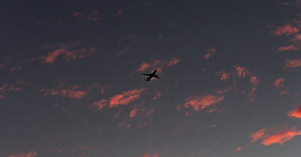 夕暮れの中で少し距離を保つ二人。ちょうどいい距離を象徴する風景。