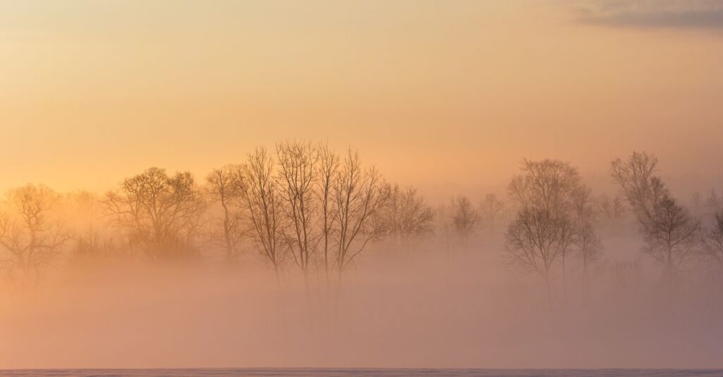 soft morning light quiet clarity gentle hope calm open space