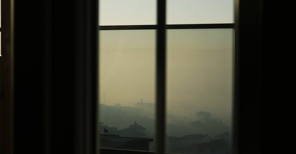 soft window light quiet pause tender understanding atmosphere
