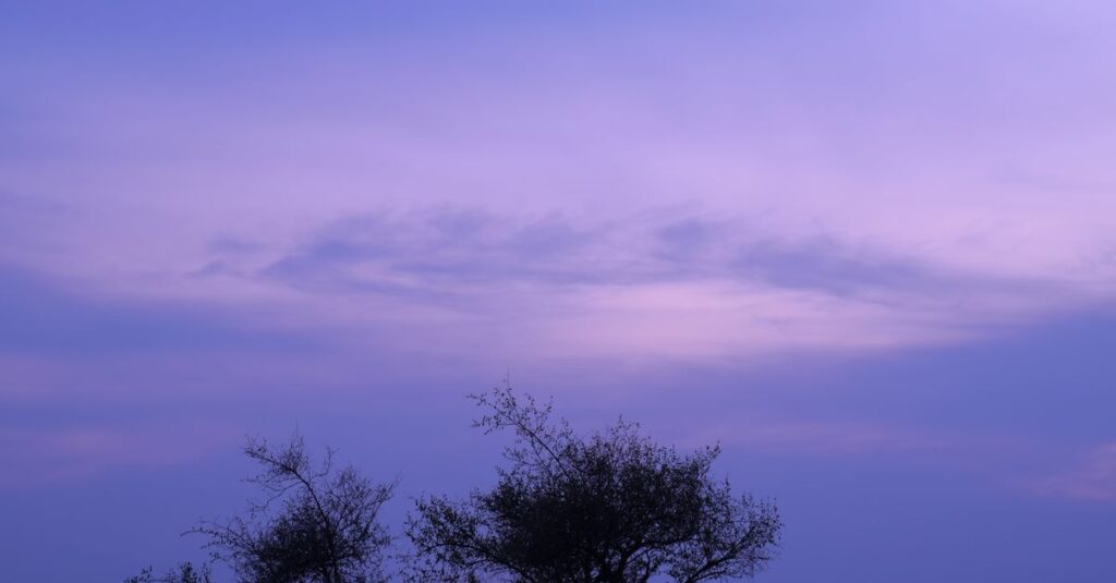 calm soft light peaceful quiet day gentle acceptance space