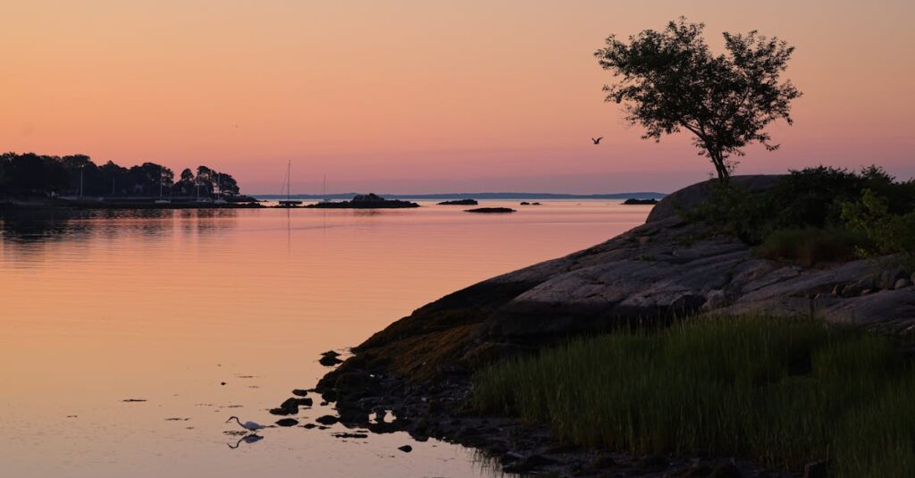 calm return path soft dawn light gentle resilience