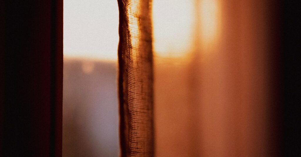 soft light gentle unfolding quiet natural healing calm body release warm atmosphere