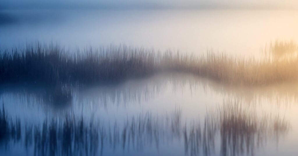 やわらかな朝の光の中で霧がゆっくりと晴れていく風景。モヤモヤが言葉になり整っていく感覚を象徴する情景。