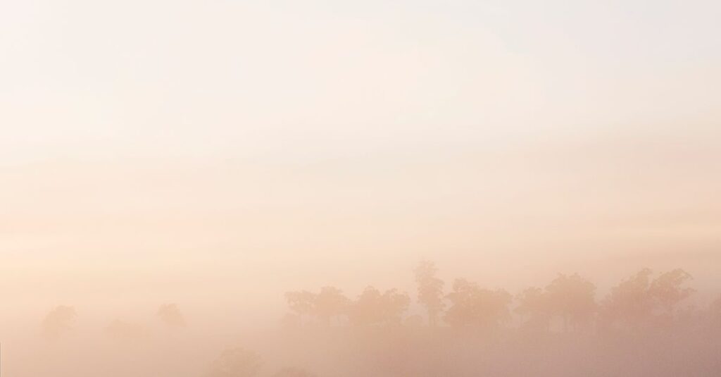 soft morning light quiet clarity gentle hope calm open space