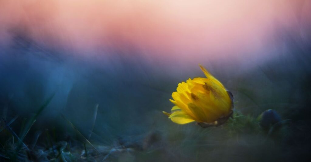 calm soft light gentle heart space peaceful solitude