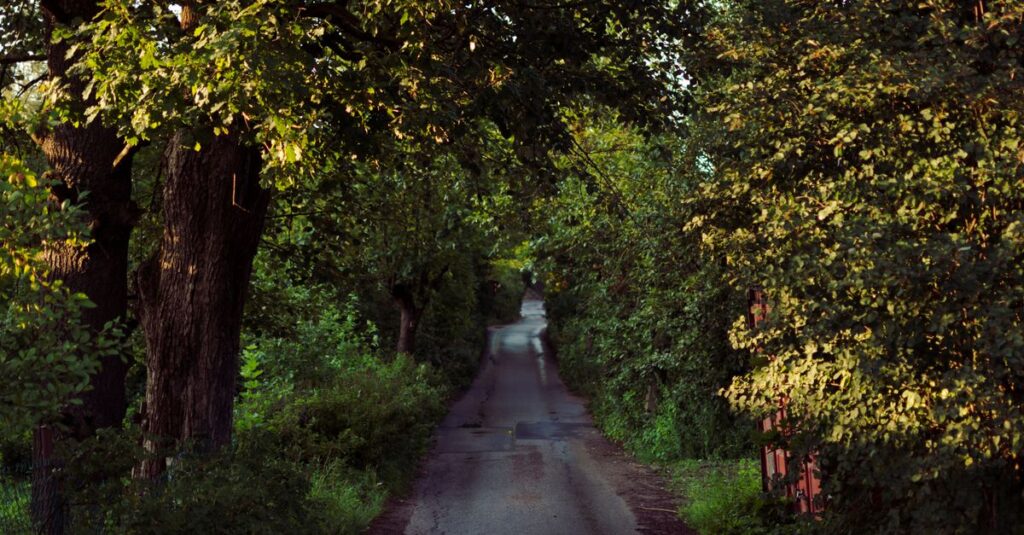 soft light path direction gentle hope quiet realization calm