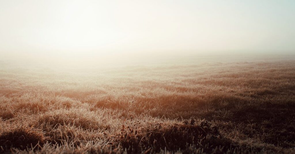 quiet soft light open space gentle breathing calm peaceful atmosphere