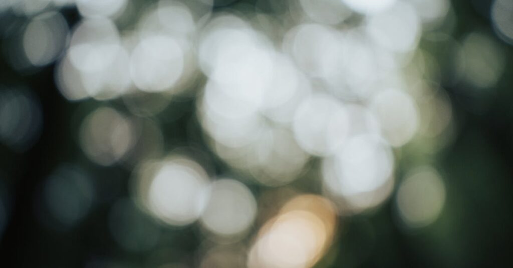 やわらかな光の中でぼんやりしていたものが輪郭を持ち始める風景。言葉にならない感情が可視化される瞬間を象徴する。