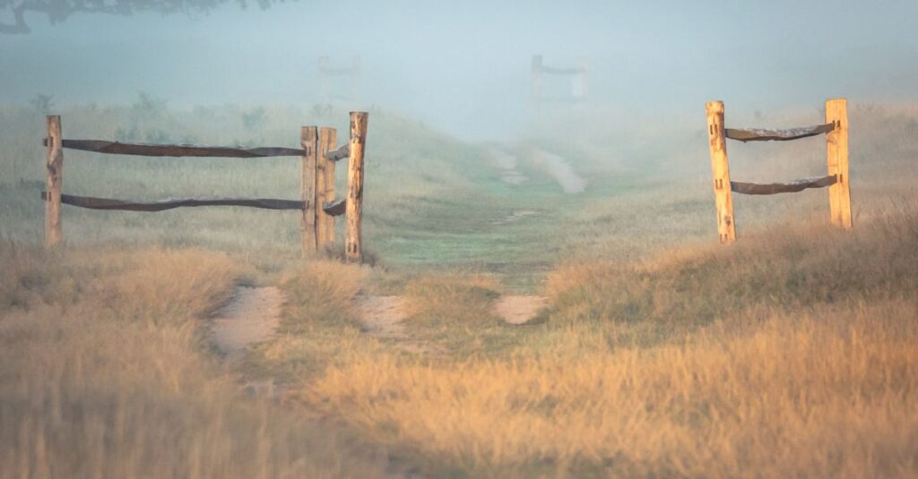 calm path returning soft light gentle trust atmosphere