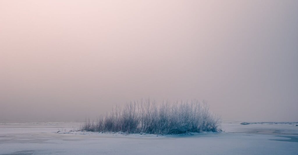 やわらかな光に包まれた静かな空間。寂しさをなくすより、ひとりにしないやさしさを象徴する穏やかな風景。