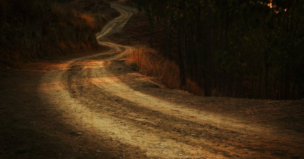 soft path winding gentle light small steps progress quiet calm atmosphere