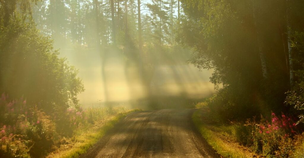 soft light path direction gentle hope quiet realization calm