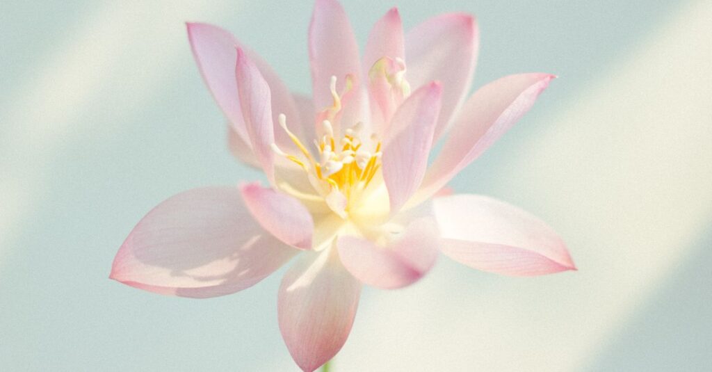 calm soft light gentle kindness peaceful quiet space
