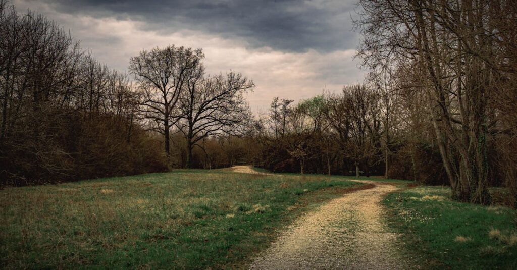 soft light path direction gentle hope quiet realization calm
