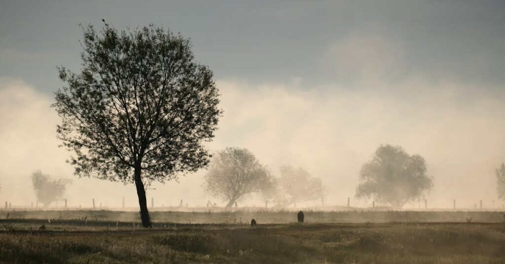 やわらかな朝の光の中に広がる静かな空間。話したあとに感じる小さな変化と軽さを象徴する風景。