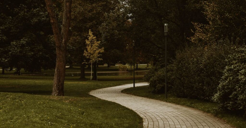 soft path with gentle curves calm light peaceful progress