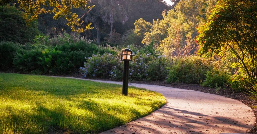 soft path with gentle curves calm light peaceful progress